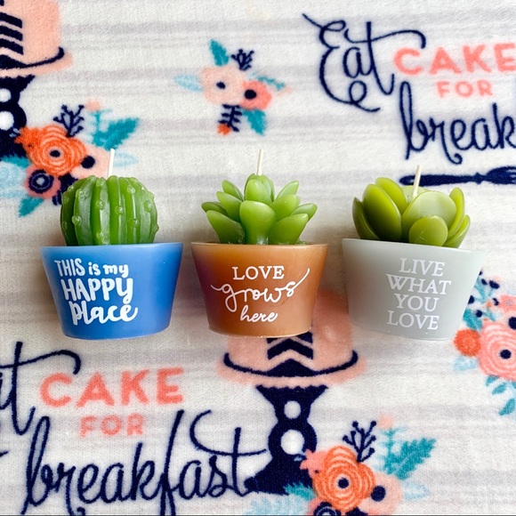 Other - 🌵 Cactus Succulent Decorative Candles 🌵